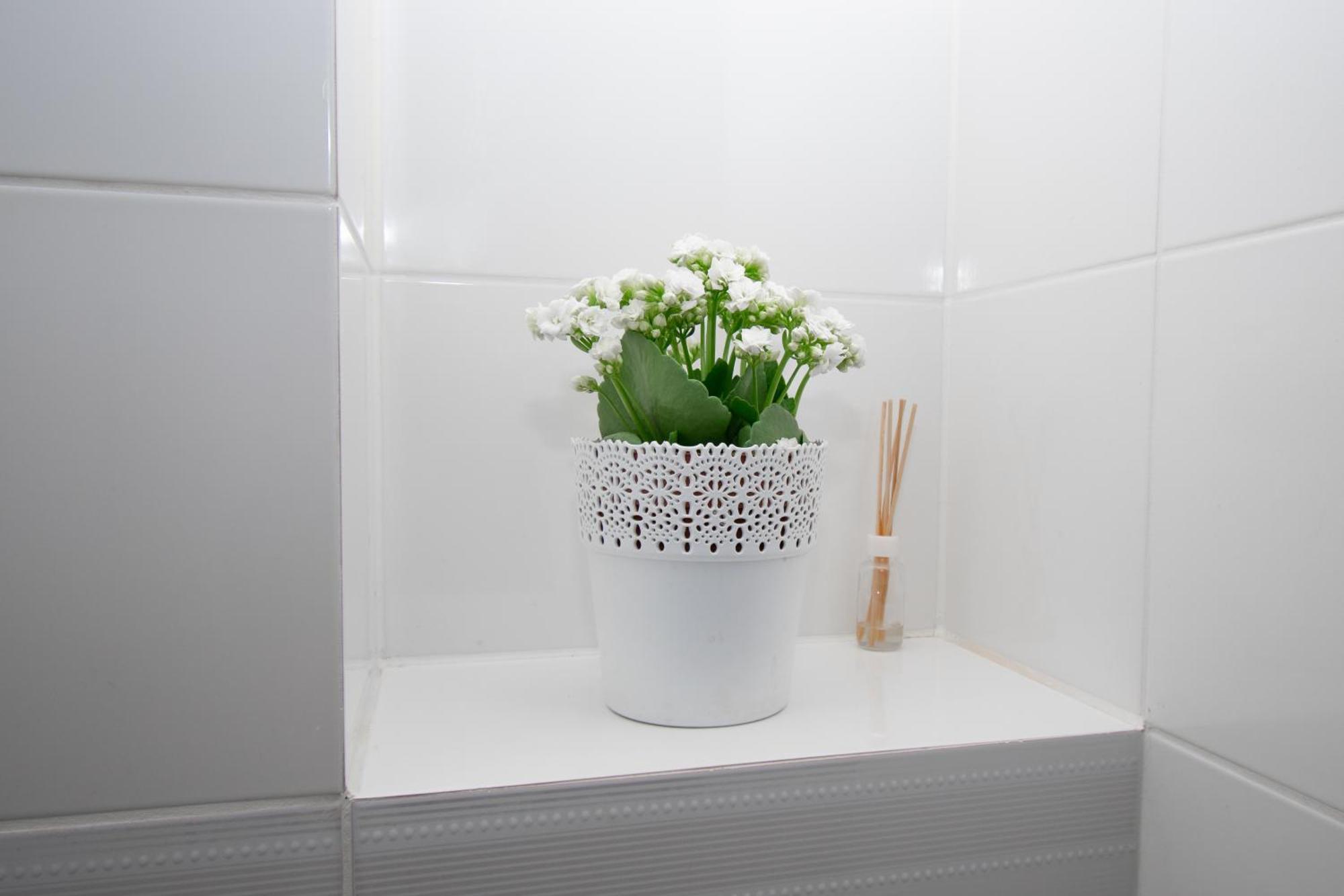 Apartament Przy Zdrojowej Ciechocinek Buitenkant foto